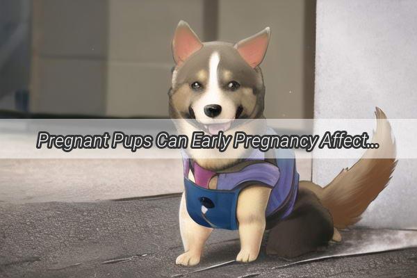 Pregnant Pups Can Early Pregnancy Affect Your Furry Friends Health